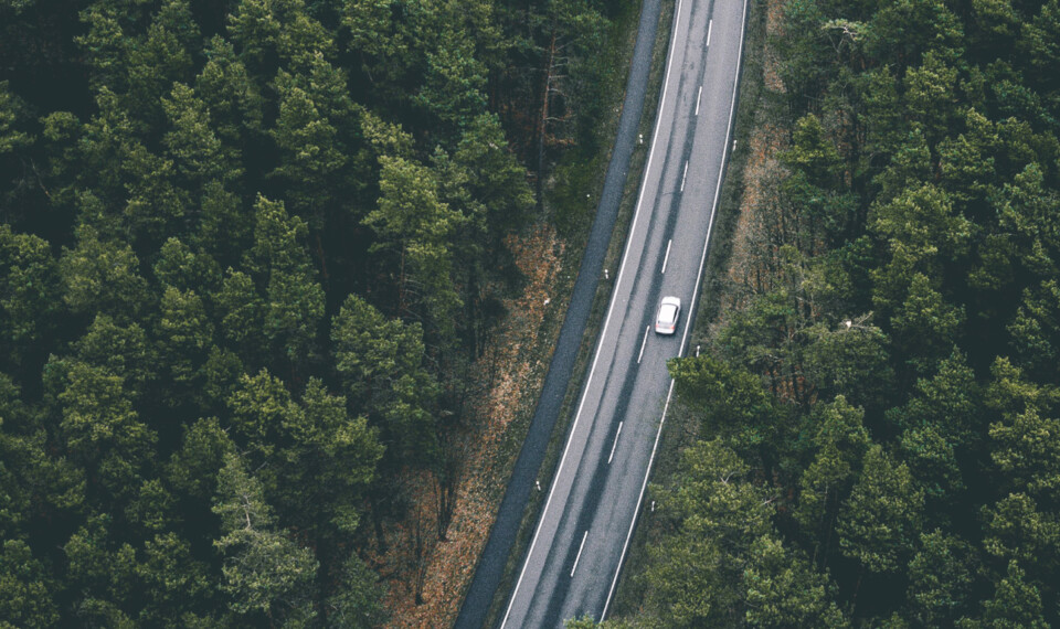 car in the forest